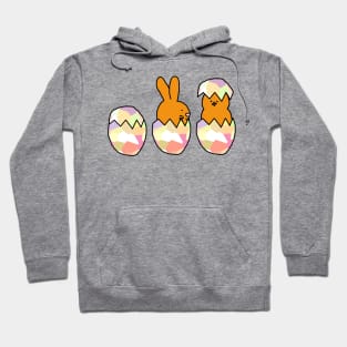 Funny Animals Eggs Easter Bunny and Baby Chick Hoodie